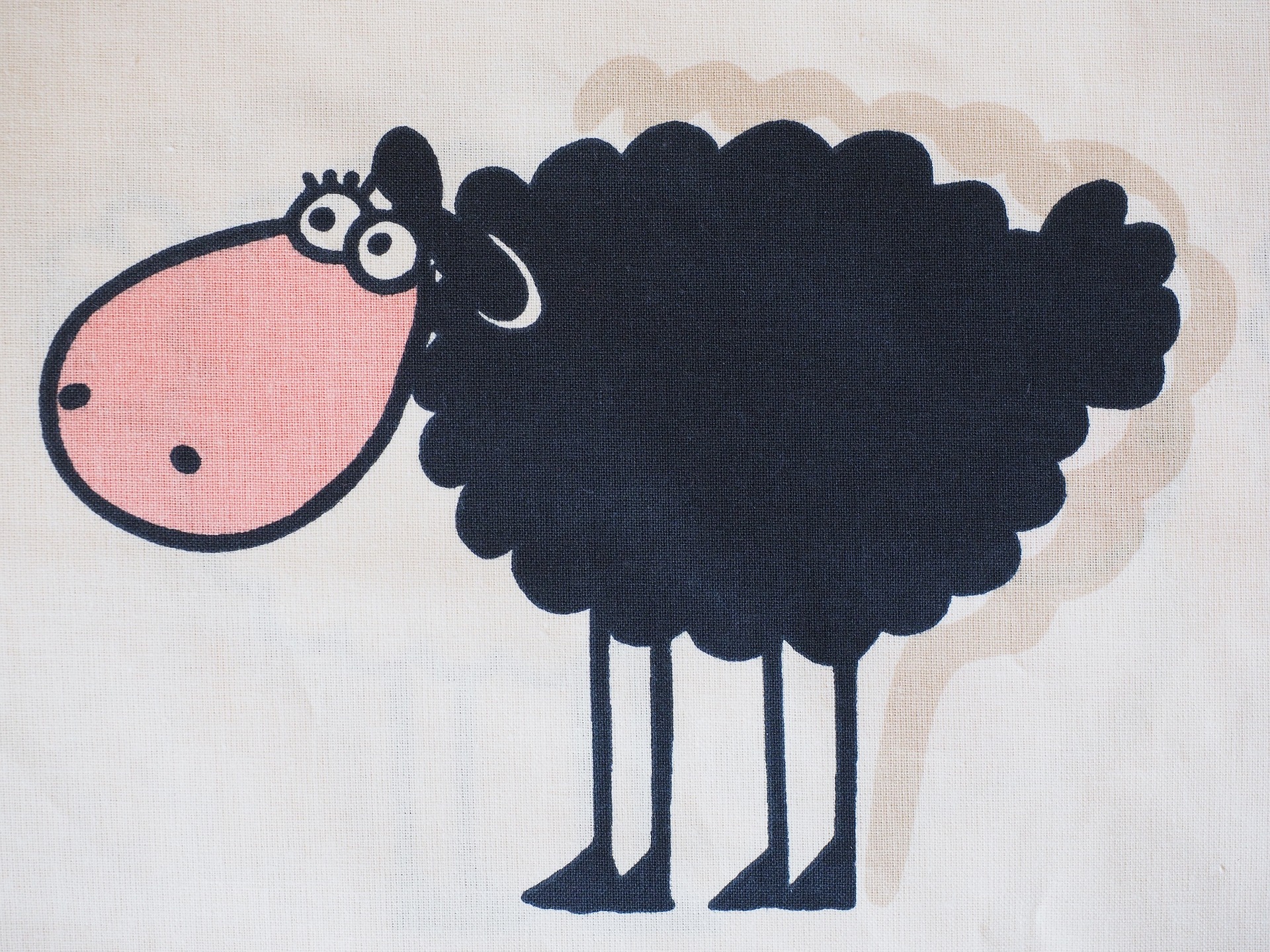 cute black sheep, public domain, thank you to Hans!