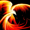 Picture of Phoenix