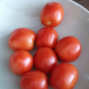 Tomaten