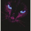 Blackout cat