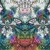a fractal image of nature representing an angel